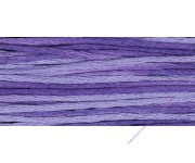 2333 Peoria Purple